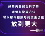 张sir账号流量增长课，告别海王流量，让你的流量更精准-一号资源库