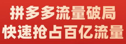 阿杰·拼多多流量破局:如何打黑标，爆款的思路，拼多多流量框架，快速抢占百亿流量-一号资源库