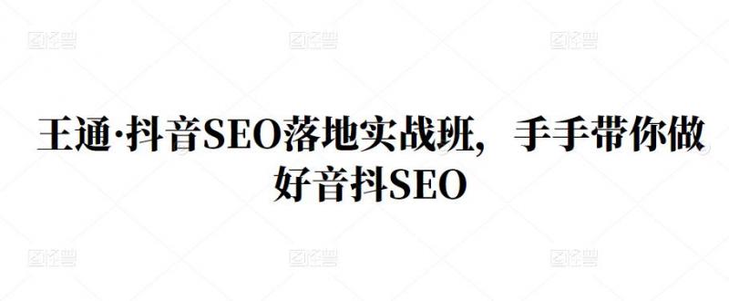 王通·抖音SEO落地实战班，手‬手带你做好音抖‬‬SEO-一号资源库