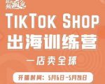 疯人院:TikTok Shop出海训练营（一店卖全球)，出海抢占全球新流量-一号资源库