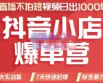 推易电商·2022年抖音小店爆单营，不直播、不拍短视频、日出1000单，暴力玩法-一号资源库