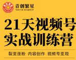 张萌21天视频号实战训练营，裂变涨粉、内容创作、视频号变现 价值298元-一号资源库