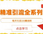 闲鱼精准引流全系列课程，每天引流100精准粉【视频课程】-一号资源库