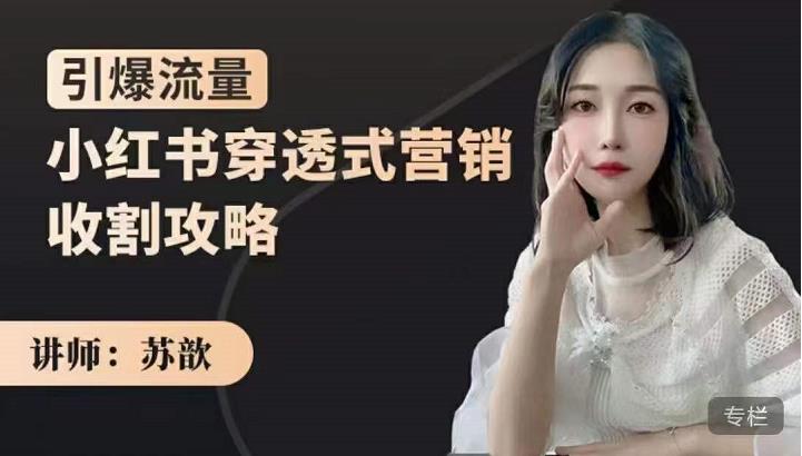 苏歆：小红书穿透式营销收割攻略，引爆流量，助你玩转小红书-一号资源库