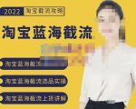 2022淘宝蓝海截流攻略，淘宝蓝海截流选品上货实操讲解-一号资源库