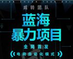 引流哥蓝海暴力躺赚项目:无需发圈无需引流无需售后,每单赚50-500(教程+线报群)-一号资源库