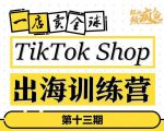 TikTokShop出海训练营（第十三期），打开全球流量新思维，出海抢占全球新流量，一店卖全球-一号资源库