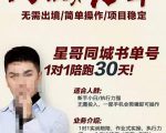 星哥同城教育书单号课程,无需出境简单操作项目稳定-一号资源库