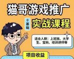 猫哥·游戏推广实战课程,单视频收益达6位数,从0到1成为优质游戏达人-一号资源库