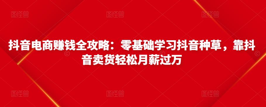 抖音电商赚钱全攻略：零基础学习抖音种草，靠抖音卖货轻松月薪过万-一号资源库