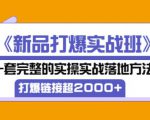凌童《新品打爆实战班》,一套完整的实操实战落地方法，打爆链接超2000+（28节课)-一号资源库