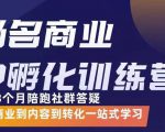 杨名商业IP孵化训练营，从商业到内容到转化一站式学 价值5980元-一号资源库