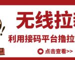 最新接码无限拉新项目，利用接码平台赚拉新平台差价，轻松日赚500+-一号资源库