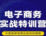 民赛电气内部出品：电子商务实战特训营，全方位带你入门电商，308种方式玩转电商-一号资源库