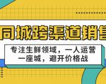 同城跨渠道销售，专注生鲜领域，一人运营一座城，避开价格战-一号资源库
