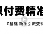 玩转知识付费项目精准引流，给你1套课多账号操作落地方案！-一号资源库