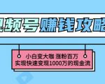 玩转微信视频号赚钱：小白变大咖涨粉百万实现快速变现1000万的现金流-一号资源库