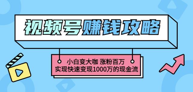 玩转微信视频号赚钱：小白变大咖涨粉百万实现快速变现1000万的现金流-一号资源库