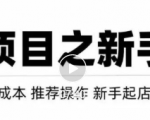 虚拟项目快速起店模式，0成本打造月入几万虚拟店铺！-一号资源库