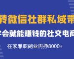 玩转微信社群私域带货，学会就能赚钱的社交电商，在家兼职副业再挣8000+-一号资源库