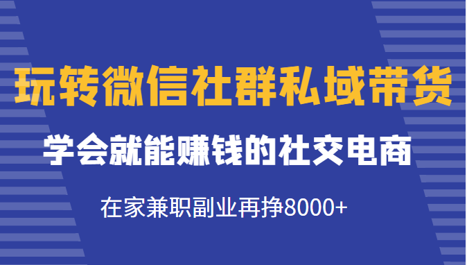 玩转微信社群私域带货，学会就能赚钱的社交电商，在家兼职副业再挣8000+-一号资源库