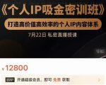 个人IP吸金密训班，打造高价值高效率的个人IP内容体系（价值12800元）-一号资源库