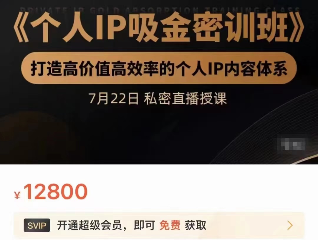 个人IP吸金密训班，打造高价值高效率的个人IP内容体系（价值12800元）-一号资源库
