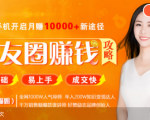 全网千万人气导师亲授：零基础/易上手的朋友圈赚钱攻略，让你轻松月入过万-一号资源库