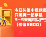 今日头条中视频搬运项目,只需要一部手机3-5天就可以产生利润(价值2800元)-一号资源库
