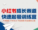小红书成长赛道快速起号训练营，不露脸不写长文不拍视频，0粉丝冷启动变现之路-一号资源库