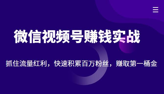 微信视频号赚钱实战：抓住流量红利，快速积累百万粉丝，赚取你的第一桶金-一号资源库