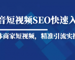 抖音短视频Seo搜索排名优化新手快速入门教程，实体商家短视频，精准引流实操课-一号资源库