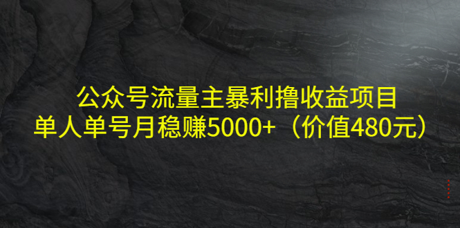 公众号流量主暴利撸收益项目，单人单号月稳赚5000+（价值480元）-一号资源库