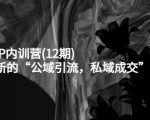 新媒体IP内训营(12期)，一套全新的“公域引流，私域成交”IP打法，直接带走-一号资源库