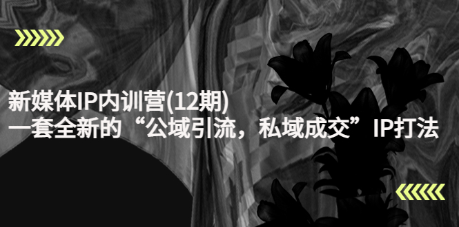 新媒体IP内训营(12期)，一套全新的“公域引流，私域成交”IP打法，直接带走-一号资源库