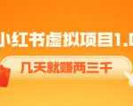 《小红书虚拟项目1.0》账号注册+养号+视频制作+引流+变现,几天就赚两三千-一号资源库