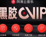 网易云音乐撸黑胶年卡及变现方法,收益可无限放大-一号资源库