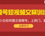 视频号短视频文案训练营：0基础小白如何建立视频号，上热门，能卖货！-一号资源库