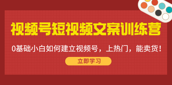 视频号短视频文案训练营：0基础小白如何建立视频号，上热门，能卖货！-一号资源库
