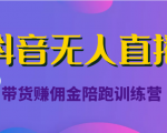 抖音无人直播带货赚佣金陪跑训练营（价值6980元）-一号资源库
