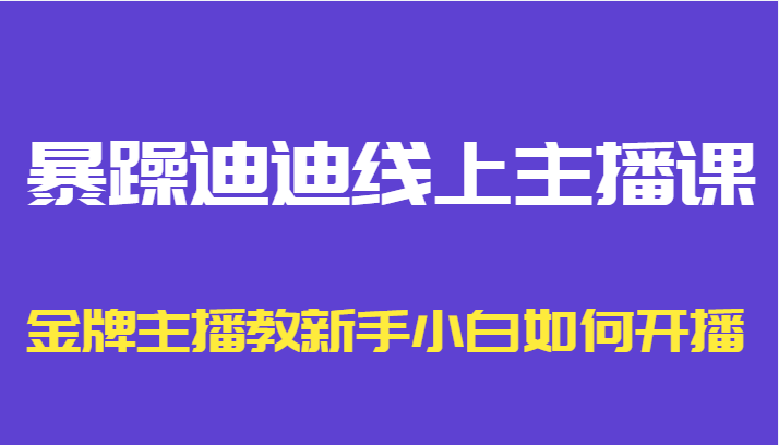 暴躁迪迪线上主播课，金牌主播教新手小白如何开播-一号资源库