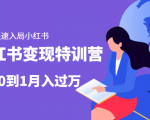 小红书变现特训营：带你快速入局小红书，从0到1月入过万-一号资源库