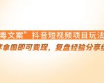 “毒文案”抖音短视频项目玩法，小程序拿图即可变现，复盘经验分享给大家-一号资源库