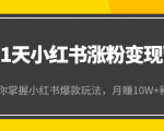 21天小红书涨粉变现营(第4期):带你掌握小红书爆款玩法,月赚10W+秘密-一号资源库