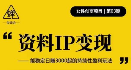 资料IP变现，能稳定日赚3000起的持续性盈利玩法-一号资源库