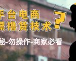 外面收费2980的全平台电商白嫖撸货技术（仅揭秘勿操作-商家防范必看）-一号资源库