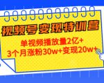 21天视频号变现特训营：单视频播放量2亿+3个月涨粉30w+变现20w+（第14期）-一号资源库