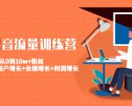 美业抖音流量训练营：从0到10w+粉丝 让你的门店用户增长+业绩增长+利润增长-一号资源库