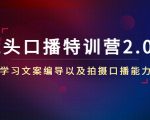镜头口播特训营2.0版,学习文案编导以及拍摄口播能力(50节课时)-一号资源库