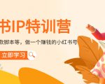 小红书IP特训营：从搭建-制作-爆款脚本等等，做一个赚钱的小红书号-一号资源库